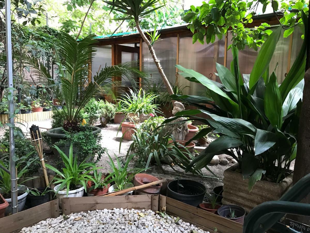 La Casa Di Elena Hotell Rom Exteriör bild